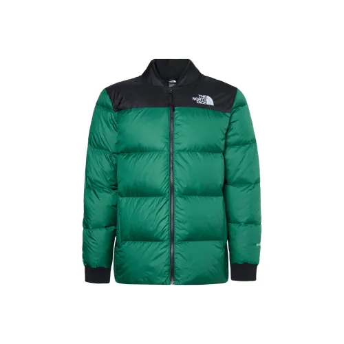 The North Face Зеленый Мужской Куртки