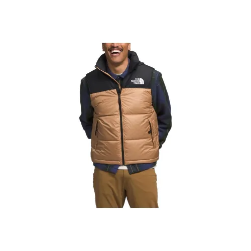 THE NORTH FACE Жилет Мужской Коричневый