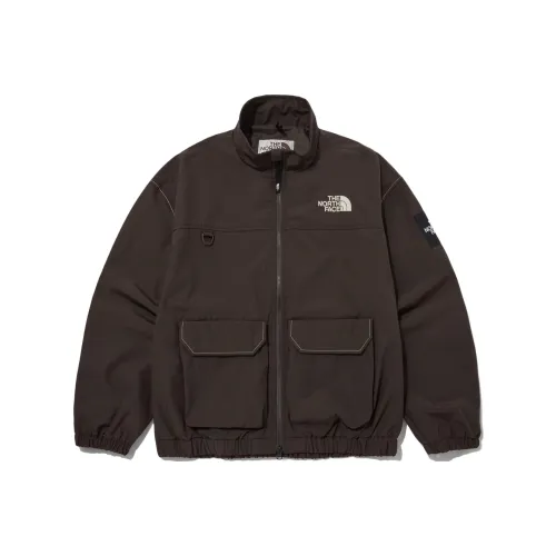 THE NORTH FACE Коричневый Мужской Куртки