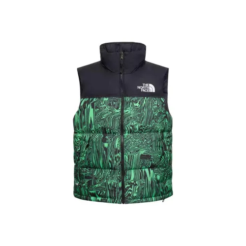 THE NORTH FACE Жилет Мужской Зеленый