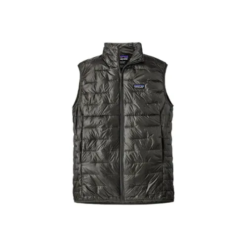 Patagonia Micro Puff Мужские жилеты