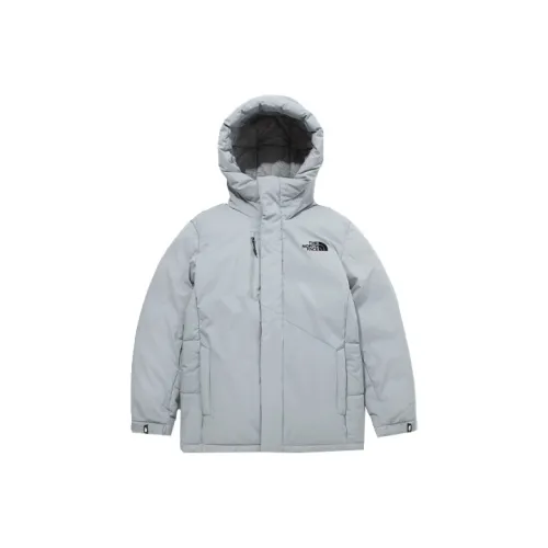 The North Face Серый Мужской Пуховик