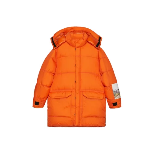 GUCCI x THE NORTH FACE Пуховик Мужской Оранжевый