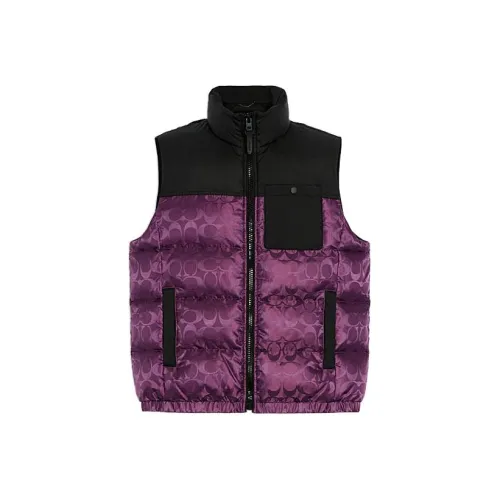 COACH FW22 Пуховик Мужской Фиолетовый