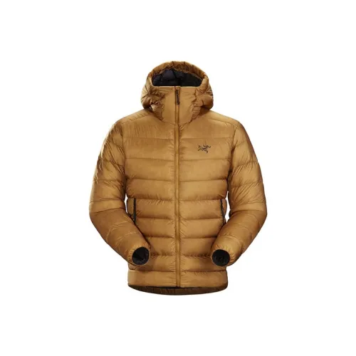 Arcteryx CERIUM SV Down Winter Coats Winter Men's