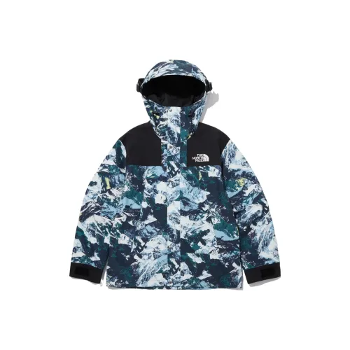 THE NORTH FACE Водонепроницаемый и Ветрозащитный Ветровка Унисекс Синий