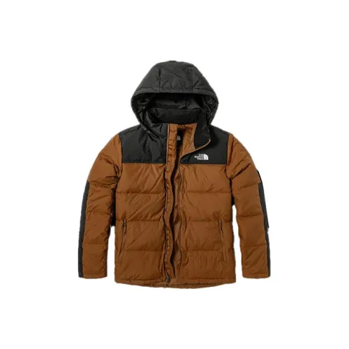 THE NORTH FACE Urban Exploration Пуховик Зимний Мужской Коричневый