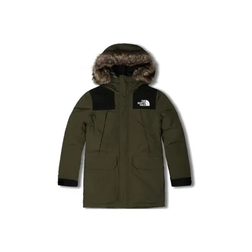 The North Face Зеленый Мужской Пуховик