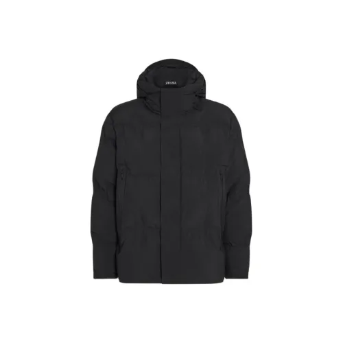 Ermenegildo Zegna Черный Мужской Пуховик
