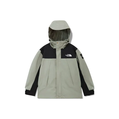 THE NORTH FACE SS23 Водонепроницаемый и Ветрозащитный Ветровка Unisex Light Травяной Зеленый