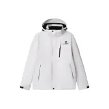 Ледниково-серый