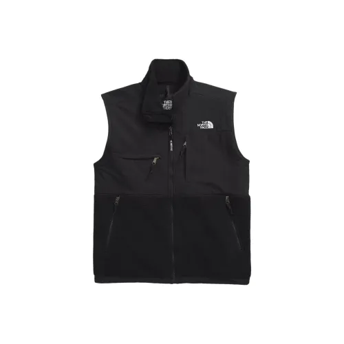 THE NORTH FACE DENALI Vest Men's Black