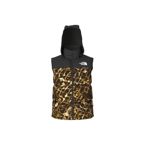 THE NORTH FACE 1996 Collection Жилет Унисекс Золотая чешуя и Черный