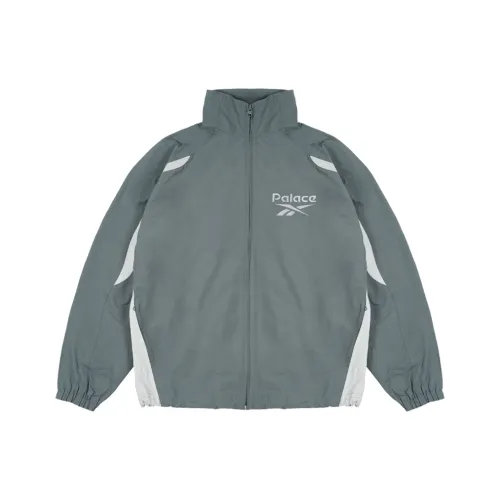 Дворцовый Reebok Co Бренд Серый Унисекс Куртки