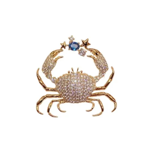 Кончик пальца Камни Медный Циркон Броши Женские