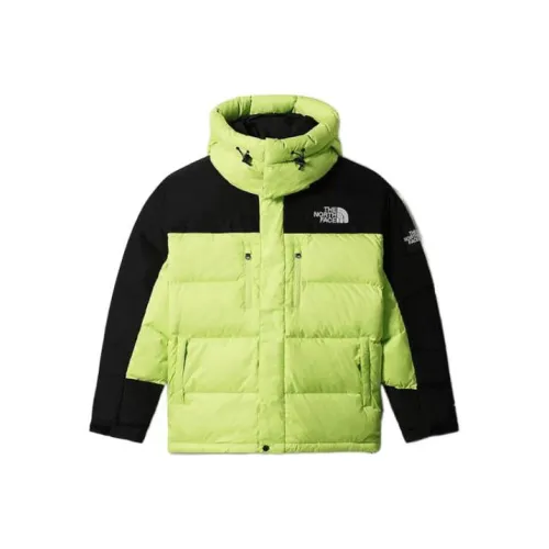THE NORTH FACE HIMALAYAN Пуховик Мужской Зеленый