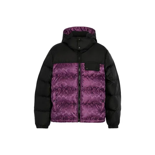 COACH FW22 Пуховик Мужской Фиолетовый