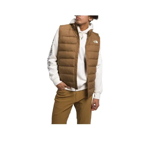THE NORTH FACE Коричневый Мужской жилет
