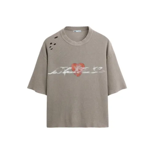 ZARA Серые Мужские T-рубашки