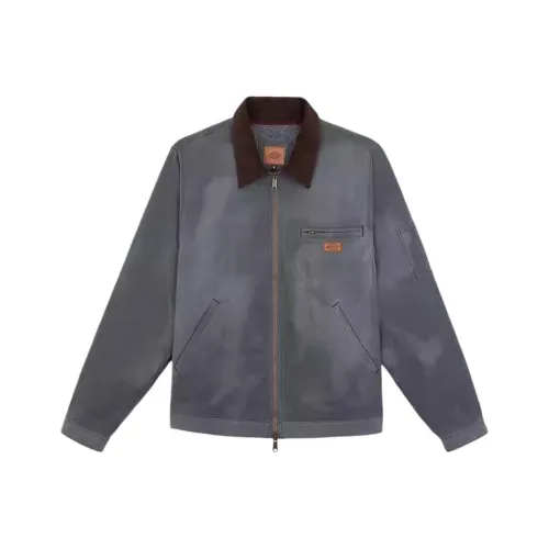 Dickies Серый Мужской Куртки