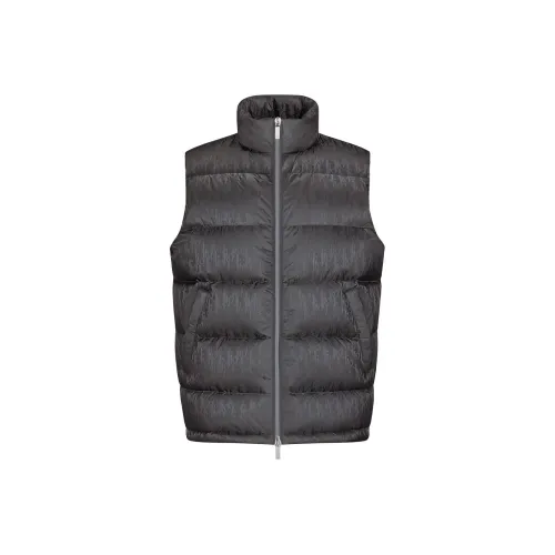 DIOR Quarterly New Products Серый Мужской Пуховый жилет