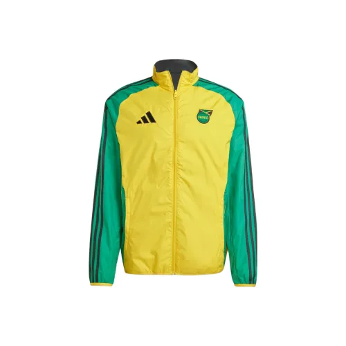 Adidas JAMAICA FW24 Куртки и Пальто Мужской Misty Желтый Черный