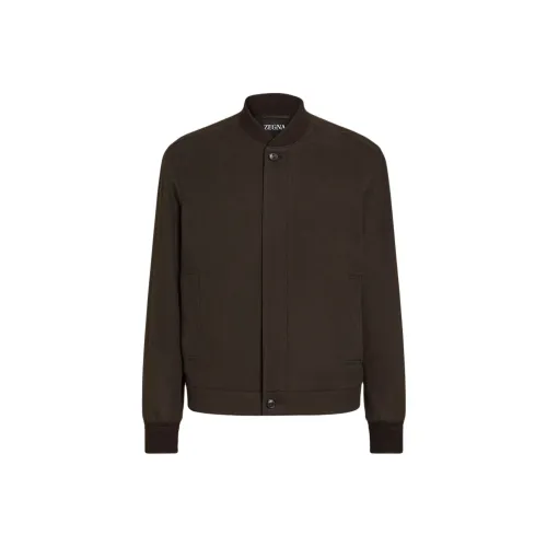 Ermenegildo Zegna Темно-коричневые мужские куртки
