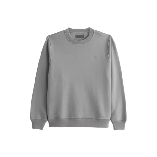 Abercrombie＆Fitch Серый Мужской Свитшот