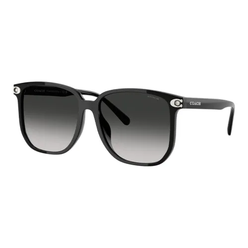 COACH Вакуумно-формованные Квадратные Солнцезащитные очки Женские Черные