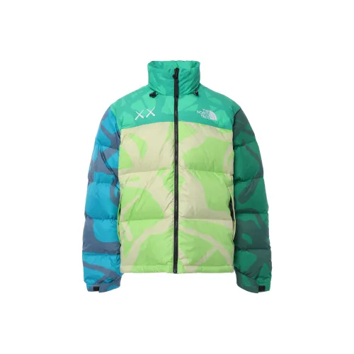THE NORTH FACE 1996 Collection Пуховик Зимний Унисекс Зеленый