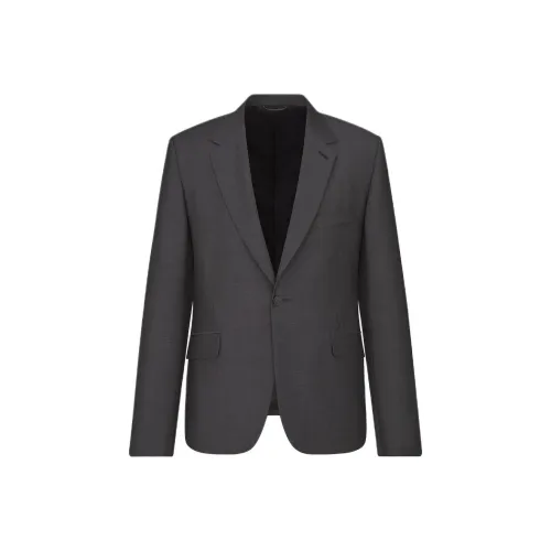 DIOR FW24 Бизнес-костюм Мужской Серый