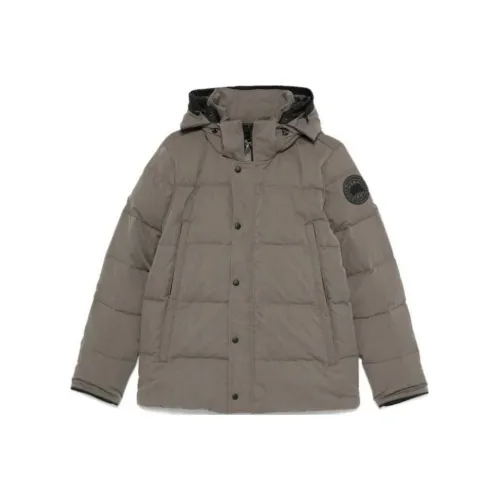 Canada Goose пуховик PARKA пальто мужской Берег Серый