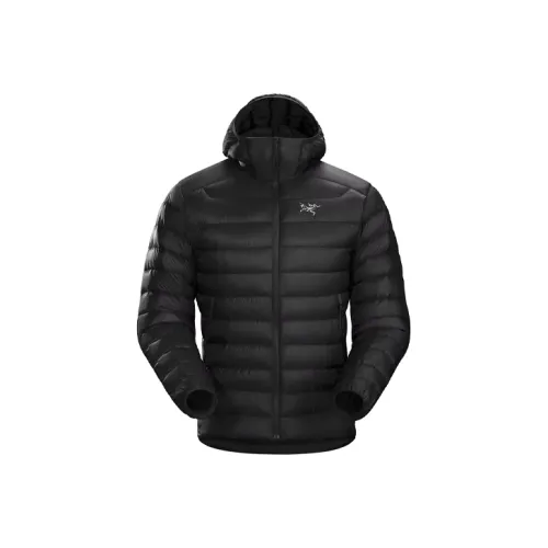 Arcteryx Cerium LT Пуховики и зимние пальто Мужской
