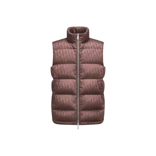 DIOR Коричневый Мужской Пуховый жилет