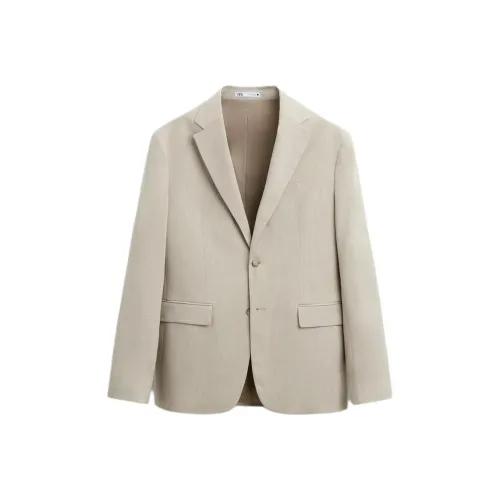 ZARA Коричневый Мужской Деловой Костюм