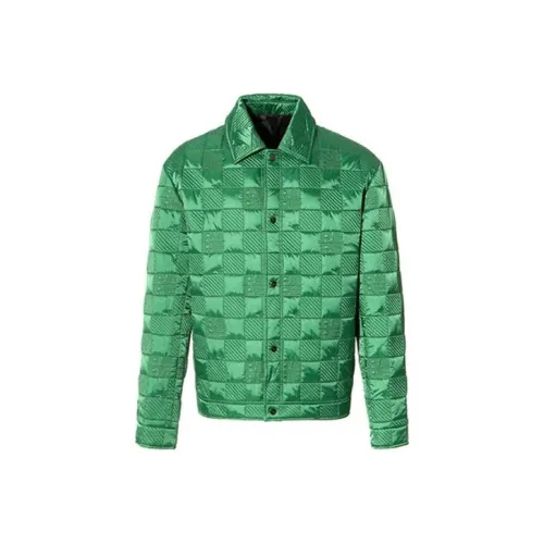 RARE FW22 Клетка Однотонный Отложной воротник Утолщенный Пух Мужской Зеленый