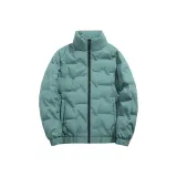 Горох Зеленый