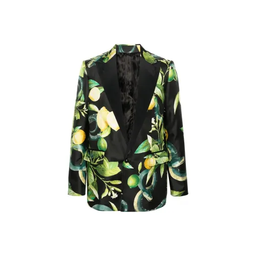 Roberto Cavalli SS24 Бизнес Костюм Пальто Мужской Многоцветный