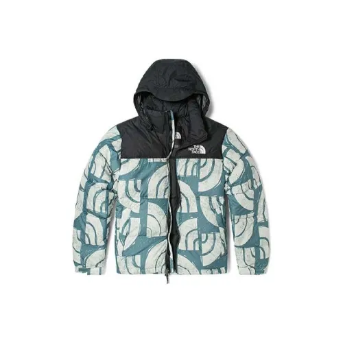 THE NORTH FACE 1996 Collection Пуховик Зимний Унисекс Синий
