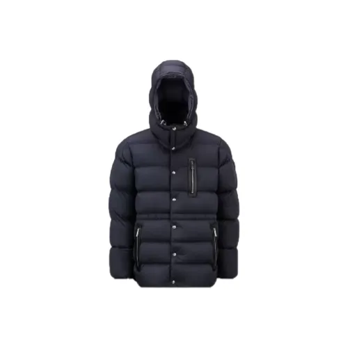MONCLER FW22 Синий Мужской Пуховик