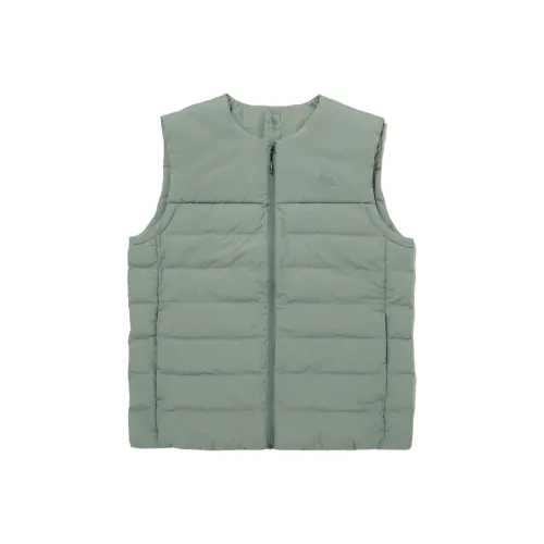 THE NORTH FACE Жилет Мужской Зеленый