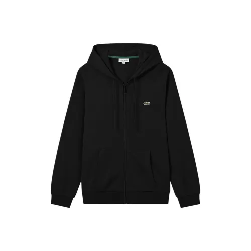 Мужские толстовки LACOSTE Collaboration