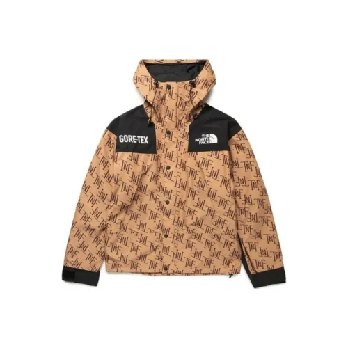 THE NORTH FACE Коричневый Мужской Куртки