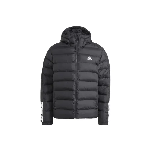 Adidas Черный Мужской Пуховик