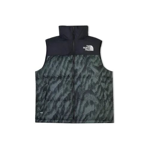 THE NORTH FACE 1996 Collection Пуховик Зимний Мужской Зеленый