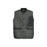 Серый Зеленый