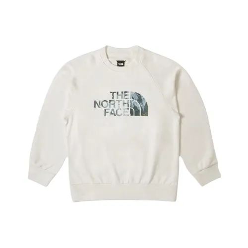 THE NORTH FACE Весна Толстовка Унисекс Экрю