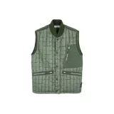 Мох зеленый