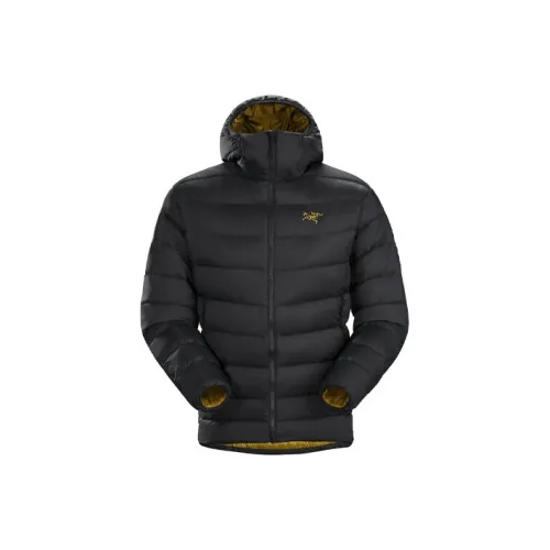 Arcteryx THORIUM AR Пуховики и зимние пальто Зимний Мужской