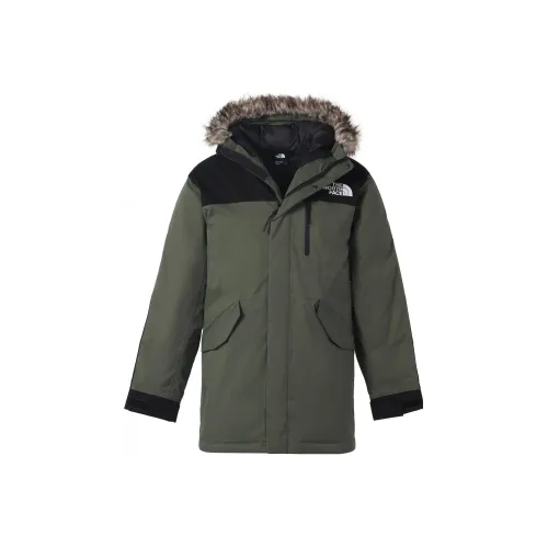 The North Face Зеленый Мужской Пуховик
